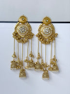 Kashmiri Dilruba Earrings