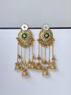 Kashmiri Dilruba Earrings