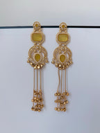 Trending Riona Kashmiri Earrings with Ghungroo