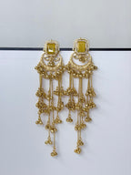 Kashmiri Chandni Earrings